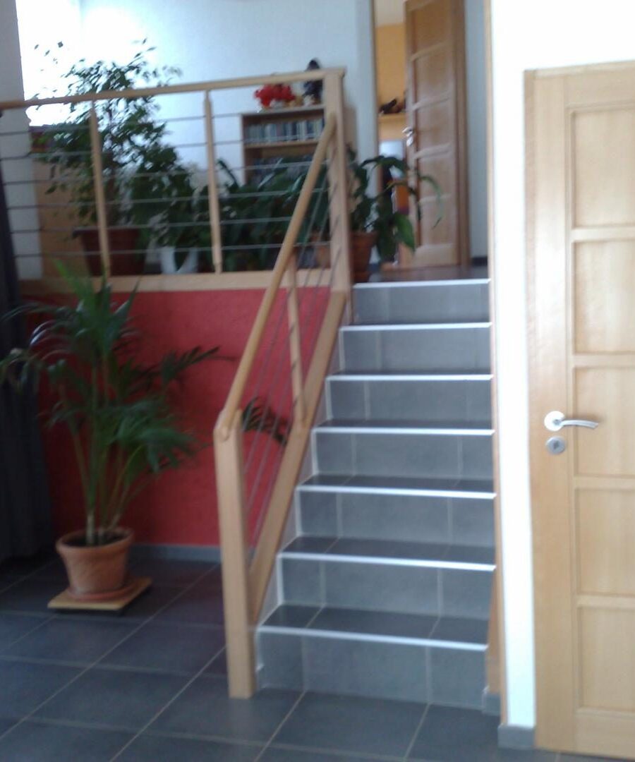 Escalier béton habillé de marches et contremarches en bois